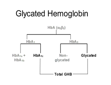 Glycated Hemoglobin