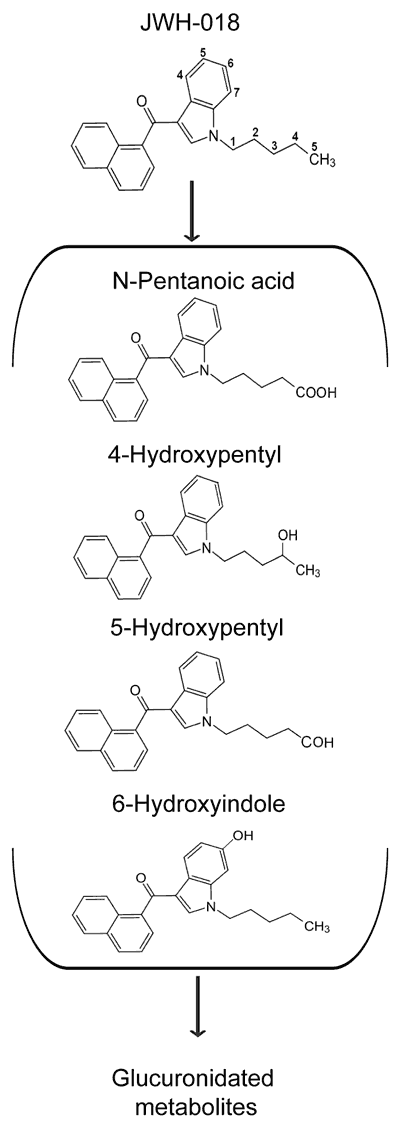 Major Metabolites of JWH-018 Detected in Urine