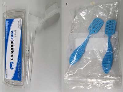 OraGene DNA collection device and DNASal collection device
