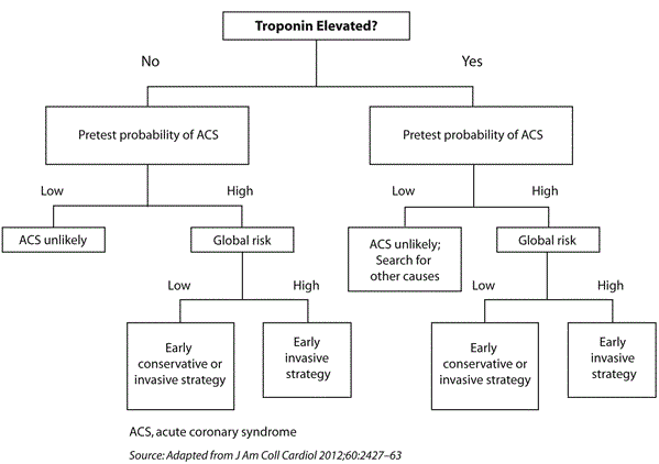 Proposed Algorithm for Therapeutic Decision Making | myadlm.org