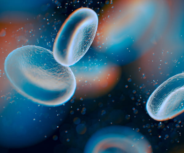 A 3D illustration of red blood cells.