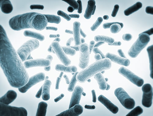 bacterian floating around a blue background